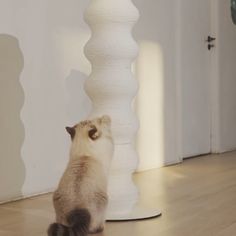 a cat sitting on the floor next to a tall white vase and looking at it