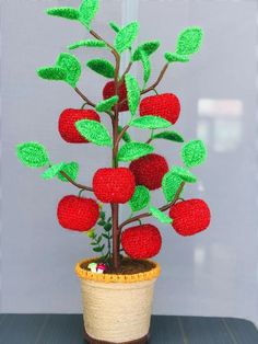 a potted plant with strawberries on it