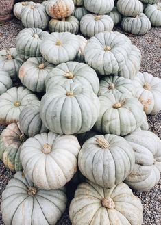 a pile of pumpkins sitting on top of a gravel ground next to each other