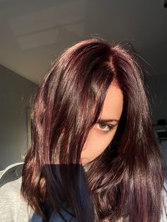 Red Color Over Brown Hair, Dark Red Glaze Hair, Very Dark Burgundy Hair, Dark Cherry Brown Hair Short, Soft Mahogany Dark Brown Hair, Dark Red Dimensional Hair Color, Dark Red Hair For Brunettes, Brown Hair That Looks Red In The Sun