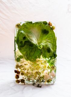 a glass block with leaves and flowers in it on a white tableclothed surface