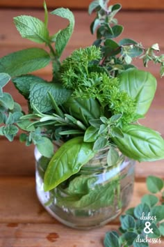 a glass vase filled with green plants on top of a wooden table next to leaves