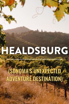 there is a sign that says healdsburg sonoma's unexpected adventure destination