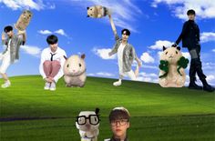 a collage of people and animals in various poses on a grassy hill with blue sky