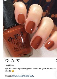 Chestnut Brown Nails, Opi Autumn Colours, Warm Tone Nail Colors, Burnt Orange Nail Color, Butterscotch Nails, September Nail Colors 2024, Barb Nails, Long Nails Brown, Fall Transition Nail Colors