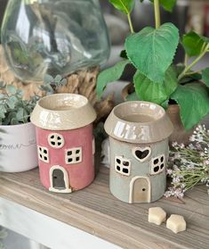 two ceramic houses sitting on top of a wooden shelf next to potted plants and flowers