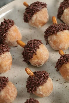 chocolate covered donuts with sprinkles and nuts arranged on a white plate