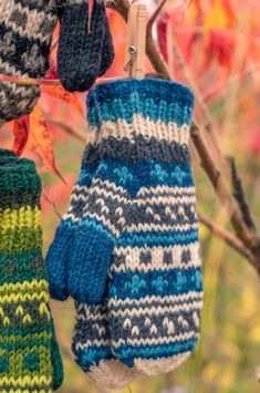 two knit mittens hanging from a tree branch