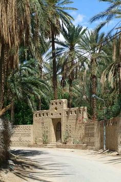 an old adobe building surrounded by palm trees