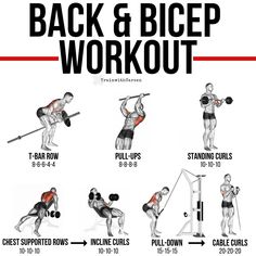 the back and bicep workout poster shows how to do squats, pull - ups