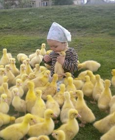 a baby sitting in the middle of a bunch of ducks