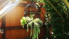 a bird cage with plants hanging from it