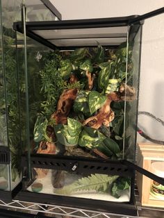 a glass case filled with lots of green plants and dirt on top of a shelf