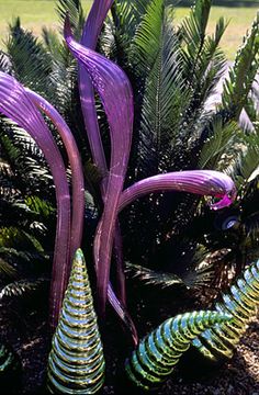 some purple and green plants in the dirt