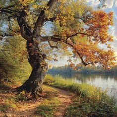 a painting of a tree next to a body of water in the fall with leaves on it