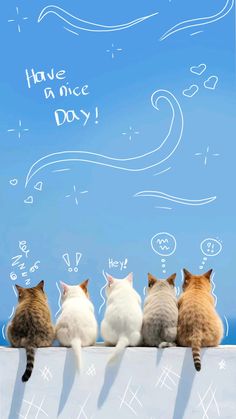 three cats sitting on top of a white wall and looking at the sky with words above them