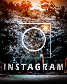 the instagram logo is displayed in front of trees