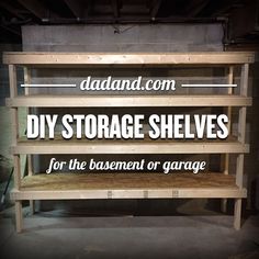 the storage shelves are for the basement or garage