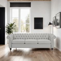 a white couch sitting on top of a hard wood floor next to a potted plant