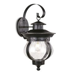 an outdoor wall light with a clear glass globe on the front and black metal frame