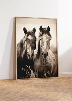 two horses standing next to each other in front of a white wall and wooden floor