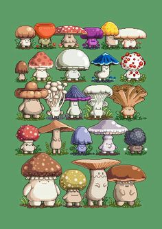 an image of different types of mushrooms on a green background with the words,'i love