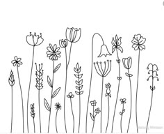 a line drawing of flowers on a white background