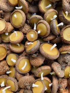 many brown mushrooms are gathered together on the ground with one candle lit in front of them