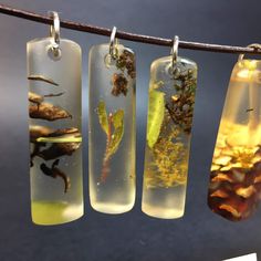 four glass pendants hanging from a clothes line with water and plants in them,