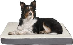 a black and white dog laying on top of a bed in front of a white background