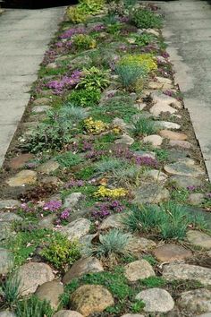 a long stone path with flowers and plants growing on the side of it in front of a black car