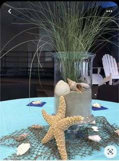 there is a starfish on the table next to a vase with some plants in it