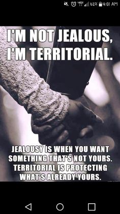 an image of someone holding hands with the caption i'm not jellous, i'm territorial