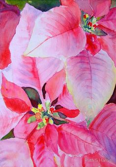 a painting of pink poinsettias with green leaves