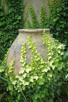 an old stone pot with ivy growing on it