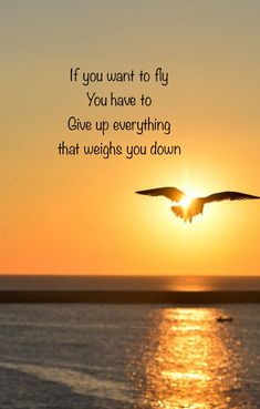 a bird flying over the ocean at sunset with a quote about it saying if you want to fly you have to give up everything that weight you down