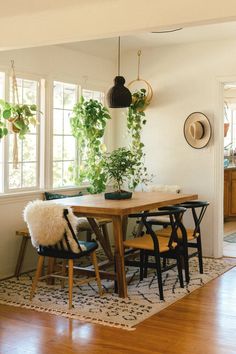 a dining room table with chairs and plants on the wall