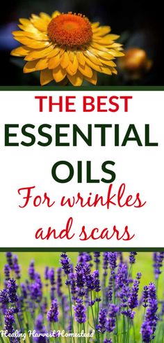 The 8 Best Essential Oils for Wrinkles and Scars PLUS a Natural Night Serum Anti-Aging Recipe — All Posts Healing Harvest Homestead Essential Oils For Wrinkles, Oils For Wrinkles, Serum Recipe, Helichrysum Essential Oil, Anti Aging Oils, Anti Aging Food, Patchouli Essential Oil, Frankincense Essential Oil, Rose Essential Oil