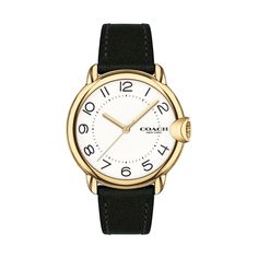 Arden Women's Watch, 36mm Tommy Hilfiger Shop, Jewelry By Brand, Eyewear Shop, Bangle Watches, Crystal Watches, Chronograph Watch Men, Rose Gold Watches, Mens Eyewear, Eyewear Womens