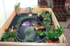 a man standing next to a fish pond with plants and rocks in the bottom half