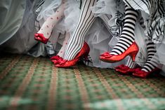 legs in striped stockings and red shoes with black and white stripes on them, lined up against a wall