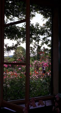 an open window looking out onto a garden with pink and red flowers in the foreground