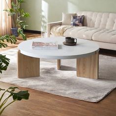 a living room with a couch, coffee table and potted plant