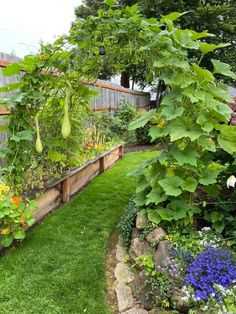 a garden with lots of plants and flowers in it