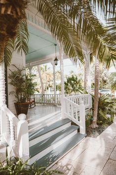 a white porch with palm trees and potted plants on the front steps, next to a wooden bench