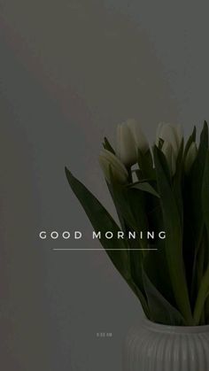 white tulips are in a vase with the words good morning on it's side