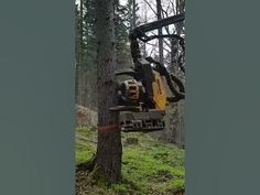 a man is using a chainsaw to cut down a tree in the middle of a forest