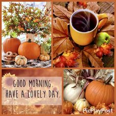 a collage of pumpkins and fall leaves with the words good morning have a lovely day