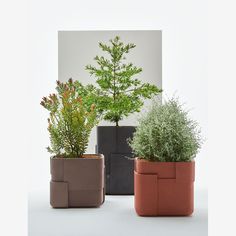 three planters with plants in them on a white surface, one is black and the other is brown