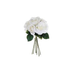 a bouquet of white flowers on a white background